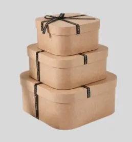 Kraft Boxes